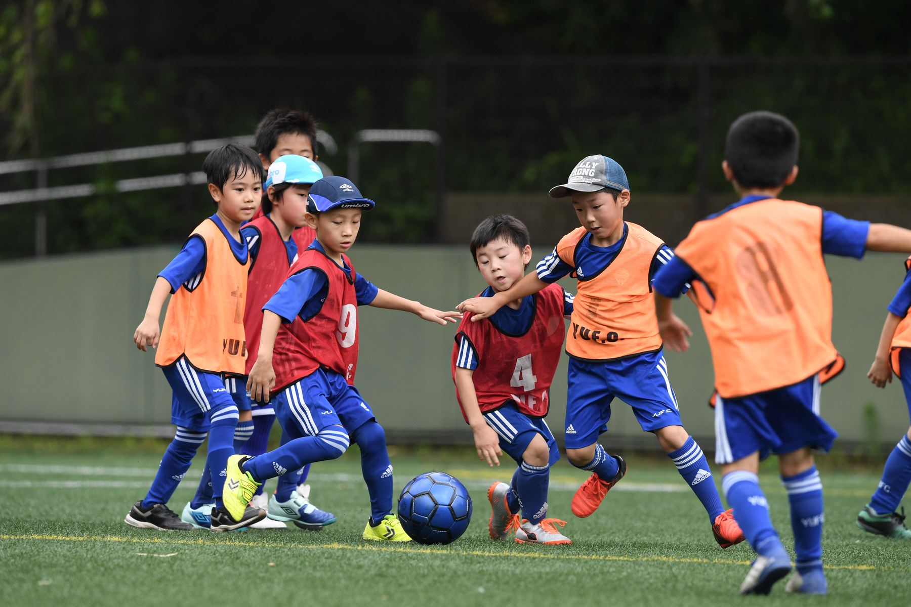 第13回1 2年生ｙｕｆc杯 横浜ユナイテッドフットボールクラブ